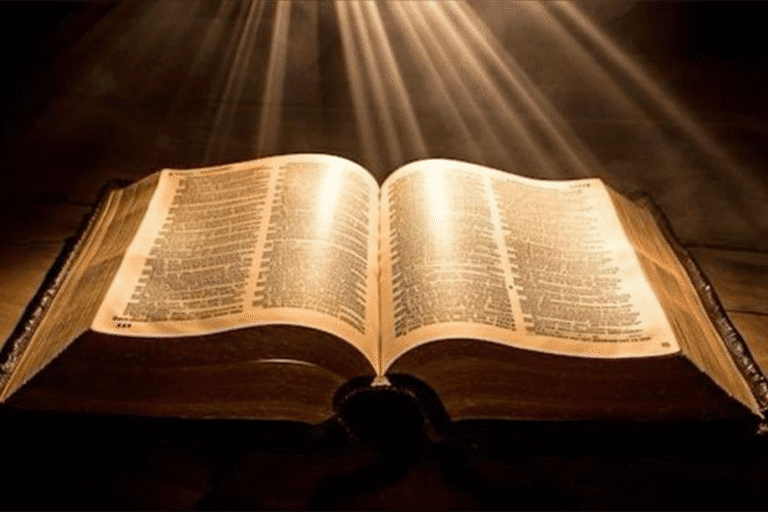 A Bíblia Sagrada – Uma espada de duplo corte em suas mãos (I)